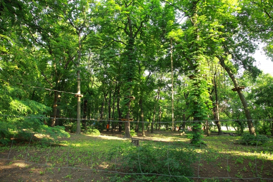 Az Orczy-kert